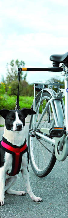 Deze leiband zorgt ervoor dat er een veilige afstand is tussen uw fiets en uw hond. Het elastische uiteinde zorgt voor extra comfort voor u en uw hond. Eenvoudig aan de zadelpen van uw fiets te bevestigen.