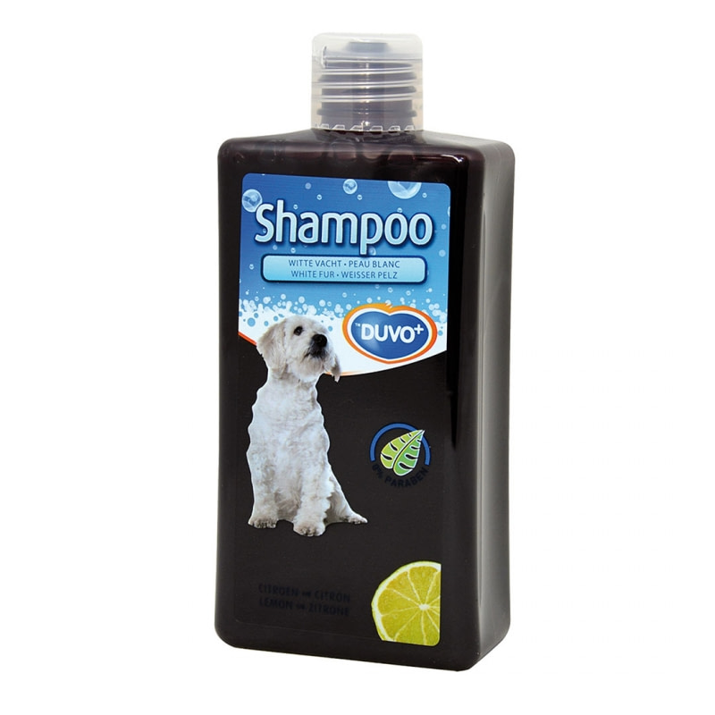 Deze hondenshampoo van Duvo+ is geschikt voor honden met een witte vacht en voor regelmatig gebruik. De shampoo is zacht, reinigend en heeft een frisse citroen geur. Ook geeft het de vacht een briljante witte uitstraling. 0% parabenen.